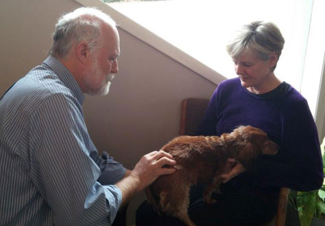 Dog getting an adjustment