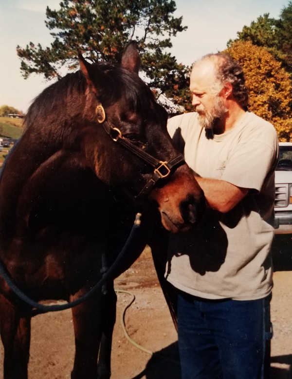 Dr Faherty giving a horse a chiropractic adjustment 